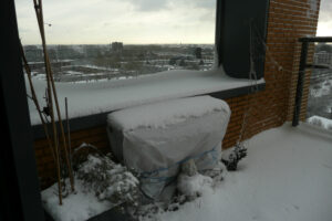 613-2010-12-17 Sneeuw