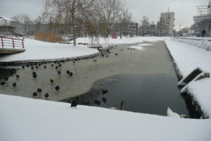617-2009-12-20 Sneeuw