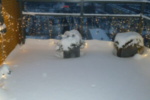 618-2010-12-19 Sneeuw