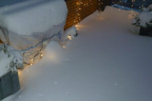 619-2010-12-19 Sneeuw