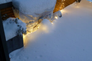 620-2010-12-19 Sneeuw
