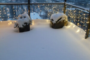 621-2010-12-19 Sneeuw
