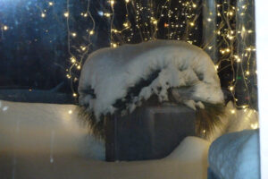 623-2010-12-19 Sneeuw