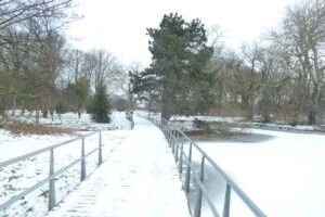 018-2012-02-05 Sneeuw