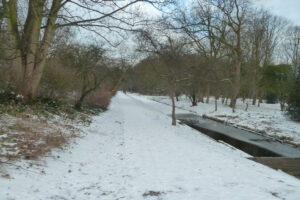 019-2012-02-05 Sneeuw
