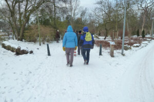 022-2012-02-05 Sneeuw