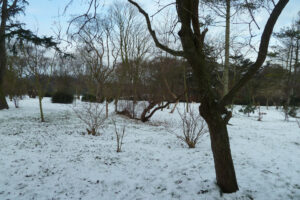024-2012-02-05 Sneeuw