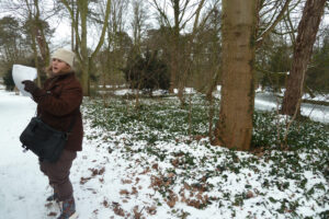 029-2012-02-05 Sneeuw