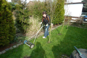 030-2011-03-12 Tuin