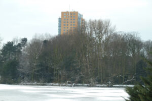 035-2012-02-05 Sneeuw