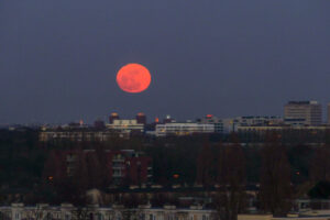 036-2011-03-19 Grote maan