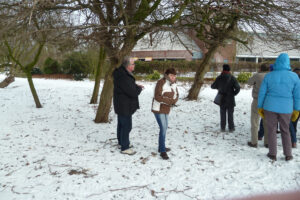 038-2012-02-05 Sneeuw