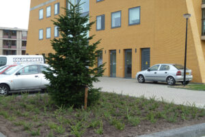 042-2011-03-25 Planten planten Pharos