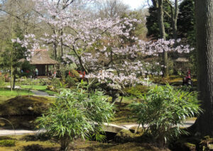 042-2013-04-28 Japansetuin Clingendeal