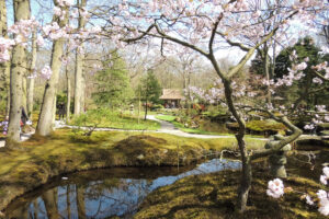 043-2013-04-28 Japansetuin Clingendeal