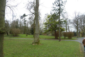 047-2012-03-18 Wandelen Zuiderpark