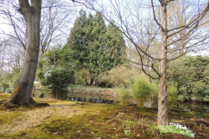 049-2013-04-28 Japansetuin Clingendeal