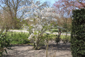 050-2013-04-28 Japansetuin Clingendeal