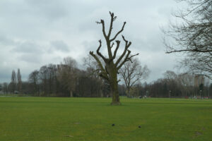 051-2012-03-18 Wandelen Zuiderpark