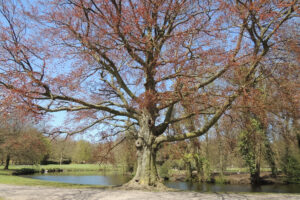 051-2013-04-28 Japansetuin Clingendeal