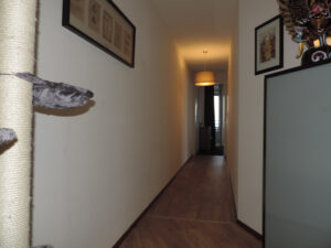 Nikon Coolpix P520 1/30 sec. @ f/3,0 ISO 200 4.3 mm