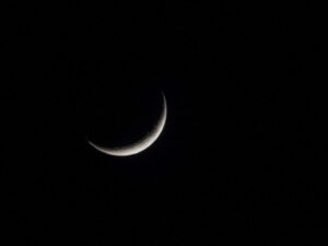 Nikon Coolpix P520 1/30 sec. @ f/8,3 ISO 80 180 mm