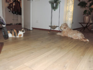 Nikon Coolpix P520 1/30 sec. @ f/3,1 ISO 200 5.3 mm