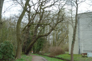 069-2012-04-01 Wandelen Overvoorde