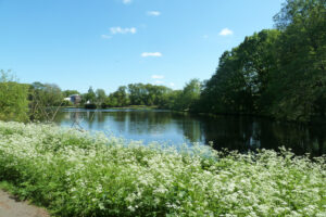 089-2012-05-13 Wandelen Zuiderpark