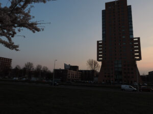 Nikon Coolpix P520 1/250 sec. @ f/3,7 ISO 80 4.3 mm