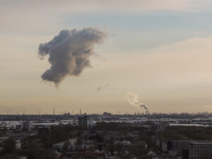 Nikon Coolpix P520 1/800 sec. @ f/5,7 ISO 80 16 mm