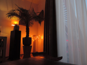 Nikon Coolpix P520 1/4 sec. @ f/3,0 ISO 200 4.3 mm