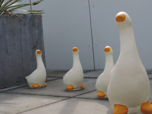 Nikon Coolpix P520 1/250 sec. @ f/3,9 ISO 80 13.3 mm