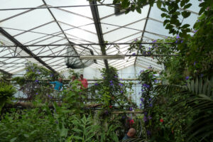 131-2011-05-14 Vlindertuin