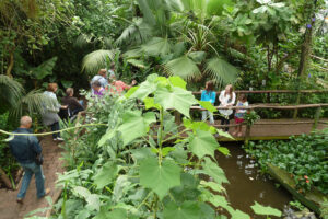 136-2011-05-14 Vlindertuin