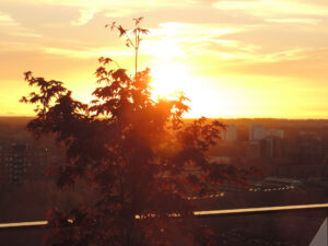 Nikon Coolpix P520 1/800 sec. @ f/4,0 ISO 400 15.1 mm