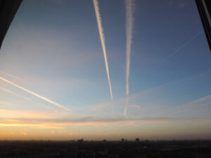Nikon Coolpix P520 1/60 sec. @ f/8,3 ISO 400 4.3 mm