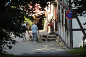 159-2013-07-06 Duitsland Wernigerode