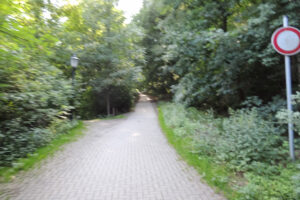 160-2013-07-06 Duitsland Wernigerode