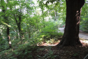 166-2013-07-06 Duitsland Wernigerode