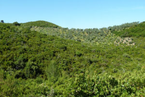 177-2012-06-07 Skiathos