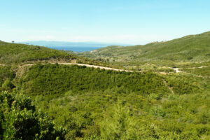 185-2012-06-07 Skiathos