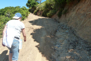 187-2012-06-07 Skiathos