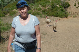 194-2012-06-07 Skiathos