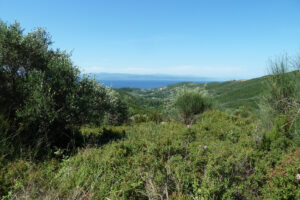 197-2012-06-07 Skiathos