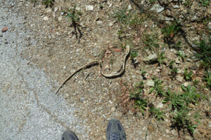 201-2012-06-07 Skiathos
