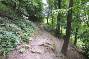 218-2013-07-06 Duitsland Wernigerode