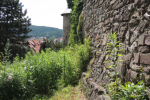 228-2013-07-06 Duitsland Wernigerode