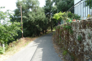 244-2011-06-08 Corfu
