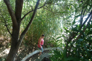 262-2012-06-10 Skiathos